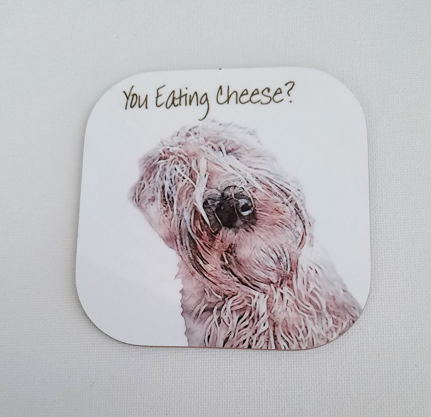 You Eating Cheese Seconds Coaster