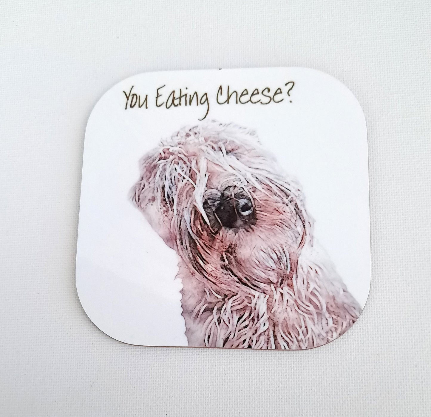 You Eating Cheese Seconds Coaster