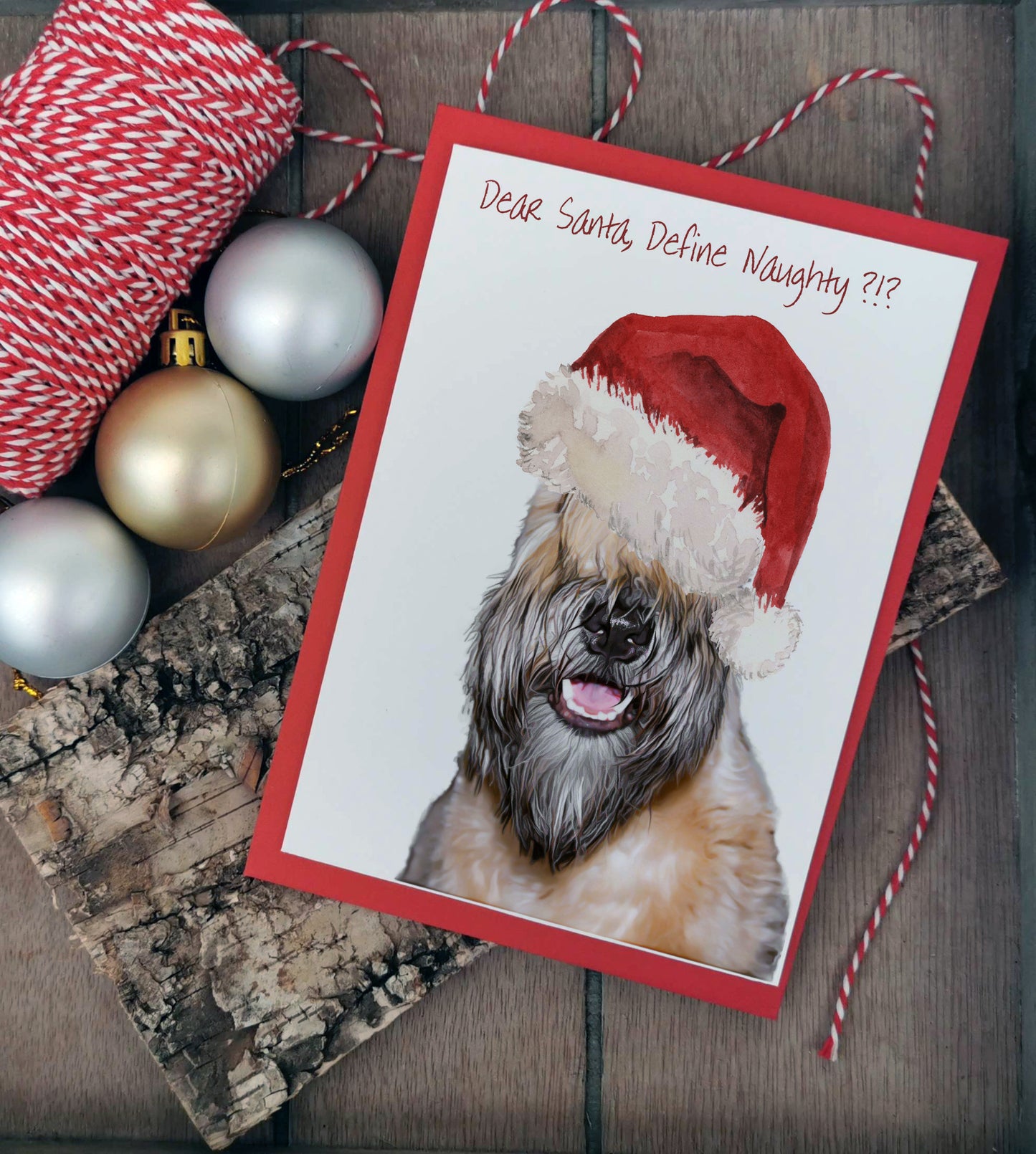 Define Naughty Card