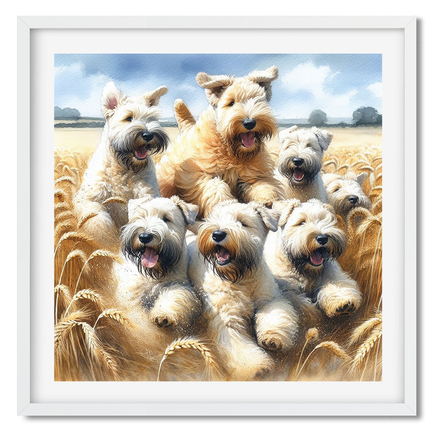 Soft Coated Wheaten Terrier Wheaten Fields Print