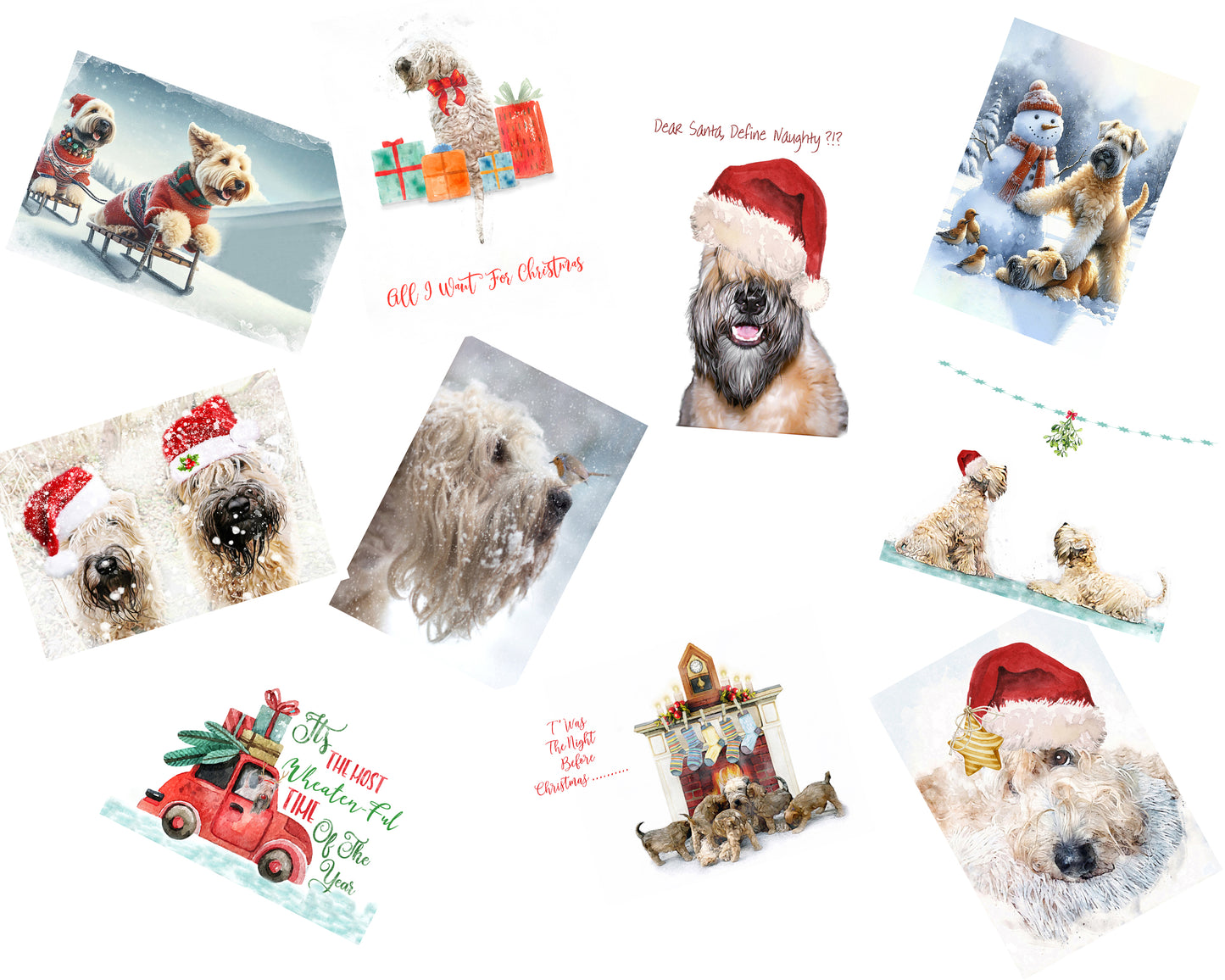 Wheaten Terrier Christmas Card Selection Pack of 10