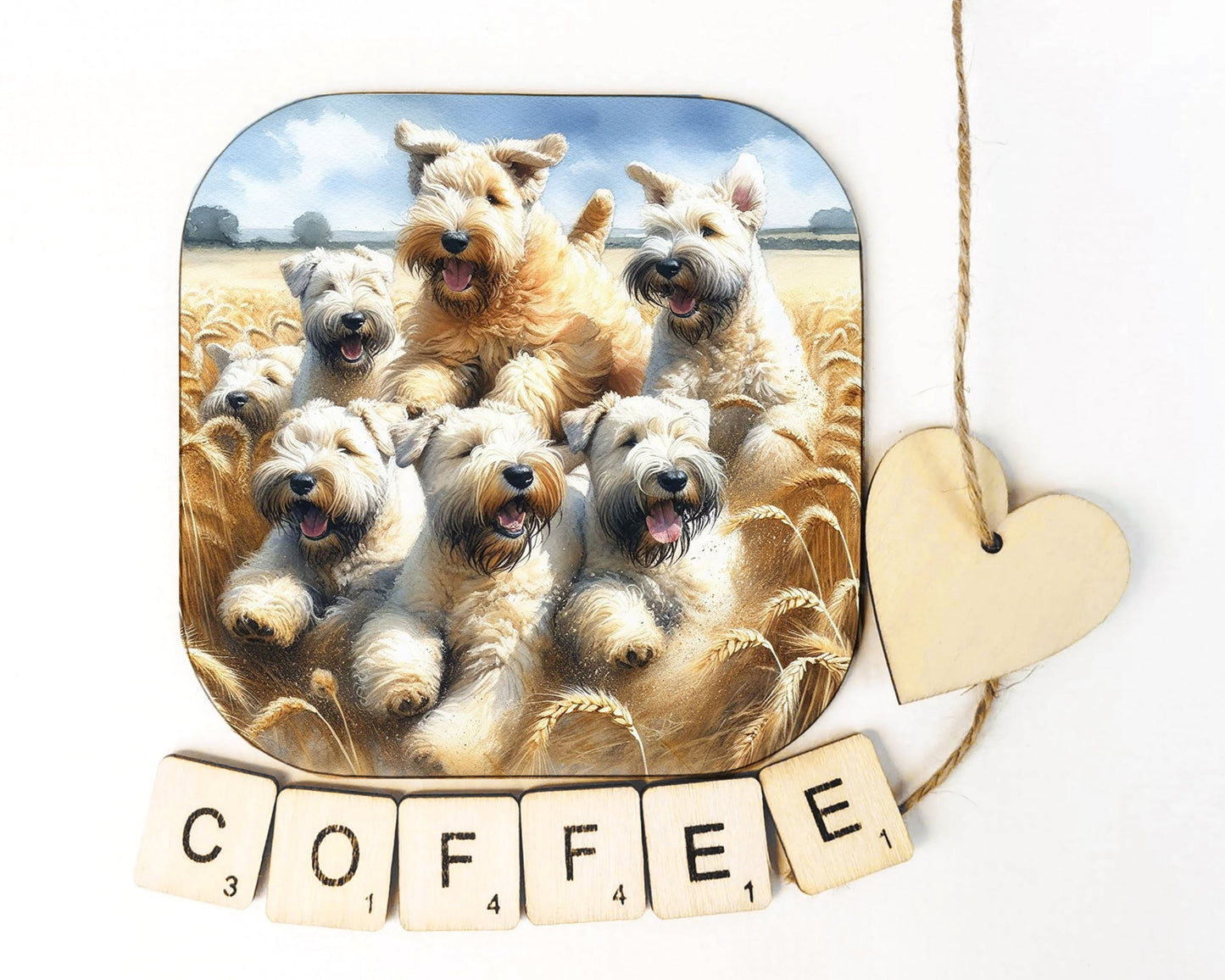 Wheaten Fields Coaster