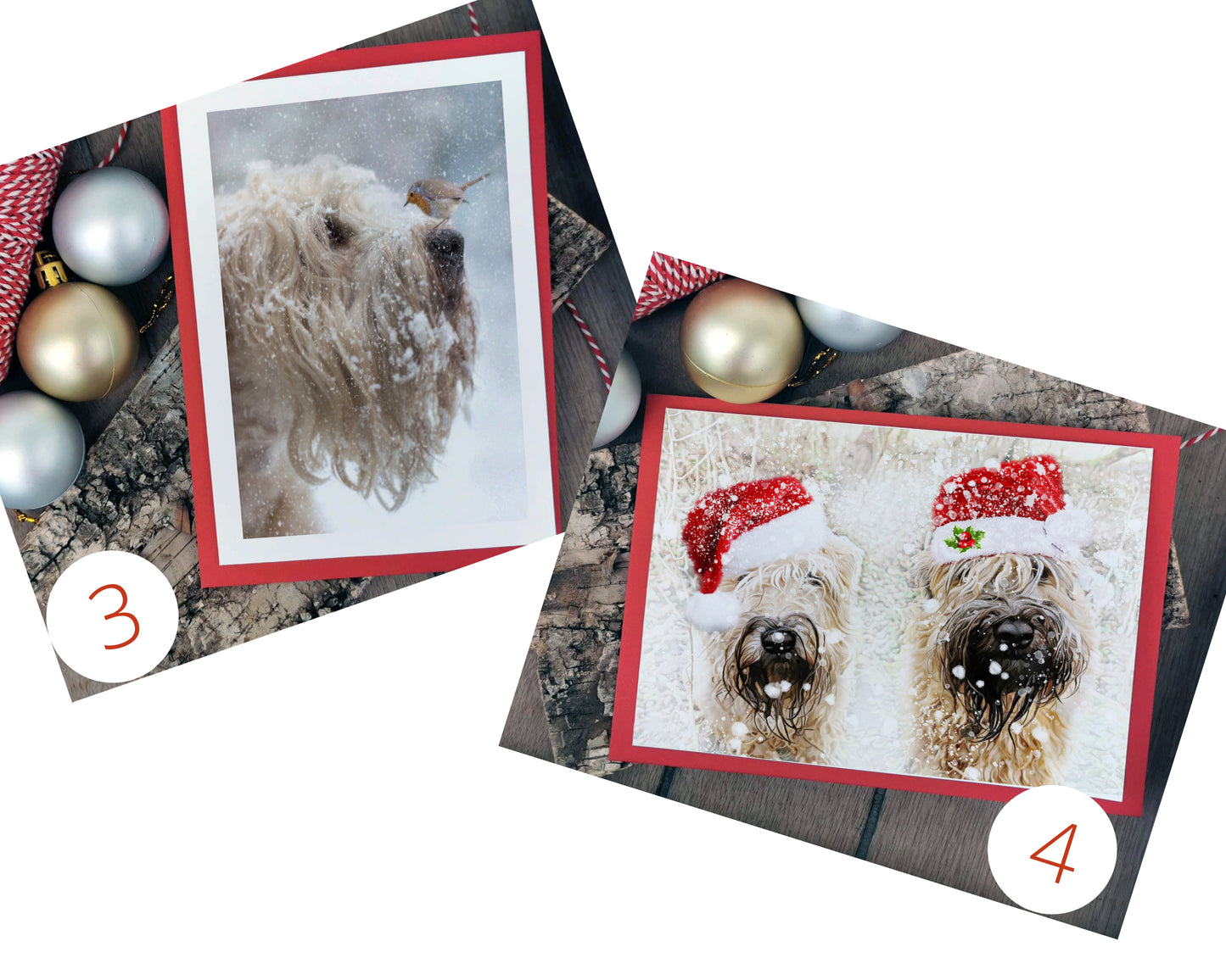 Wheaten Terrier Christmas Card Selection Pack of 10