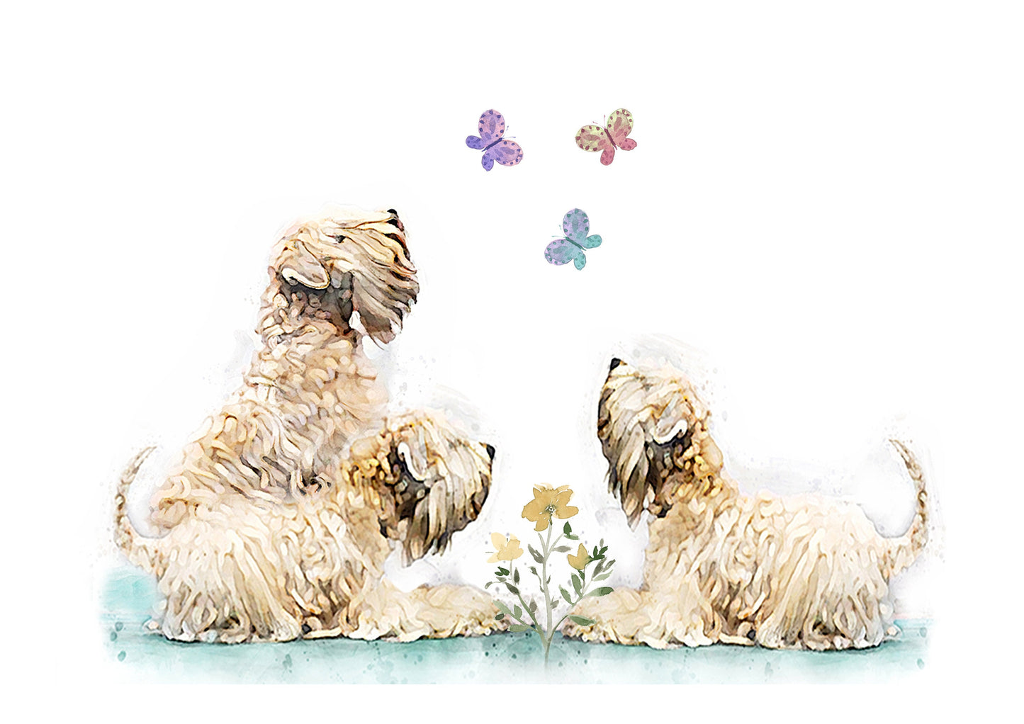 soft coated wheaten terrier wheatens & butterflies card