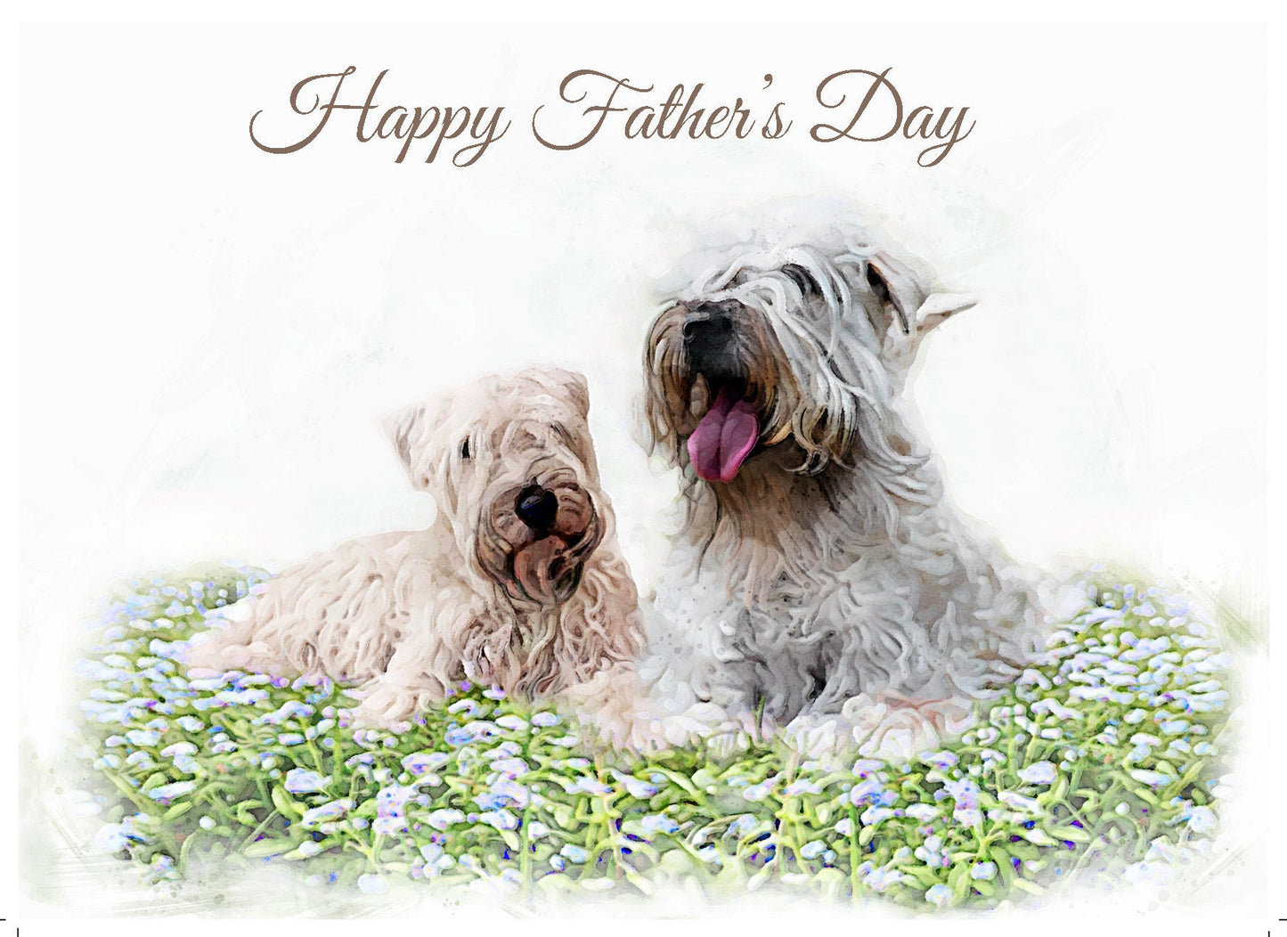 Fathers Day Card