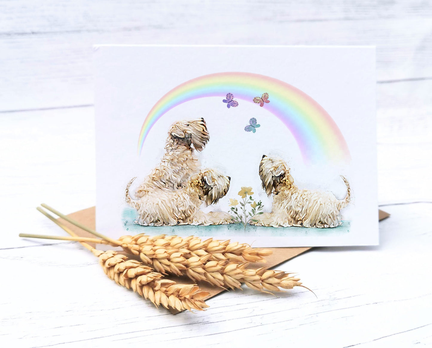 Rainbow Bridge Card