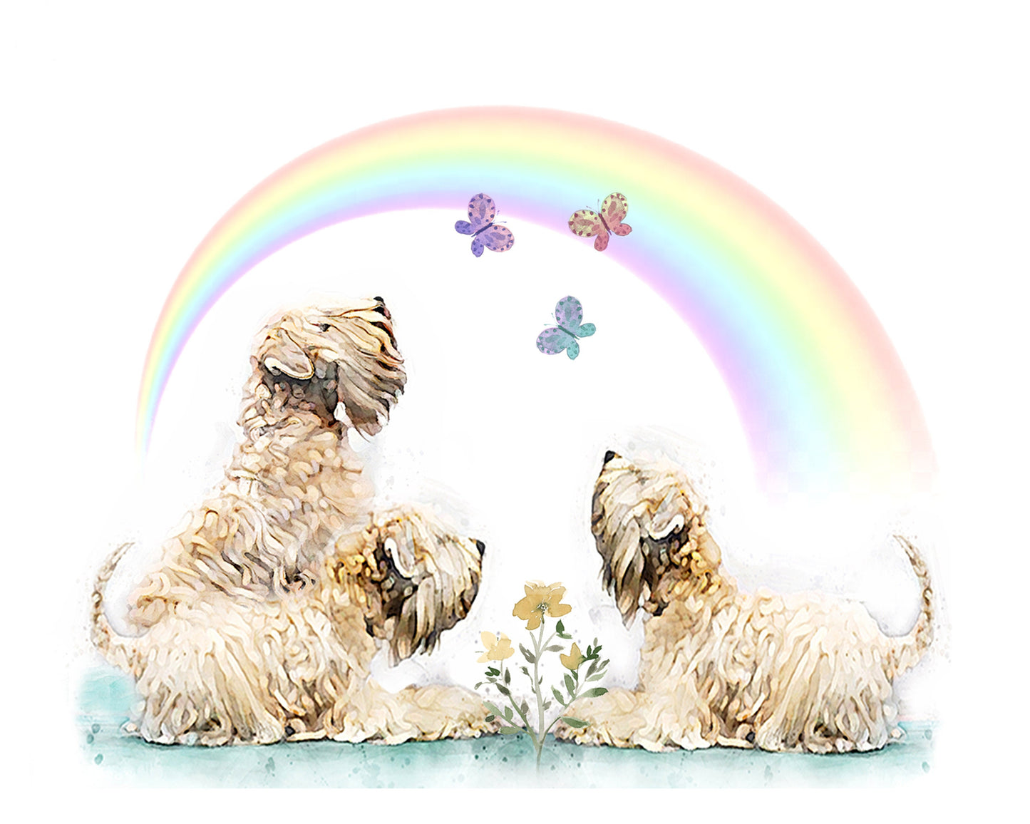 Rainbow Bridge Card