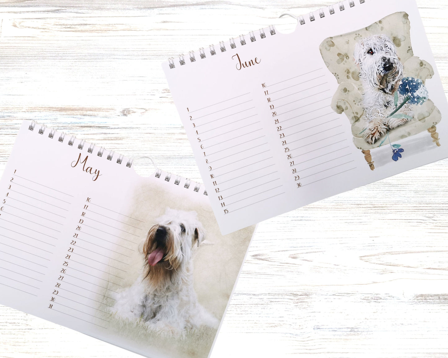 wheaten terrier birthday calendar