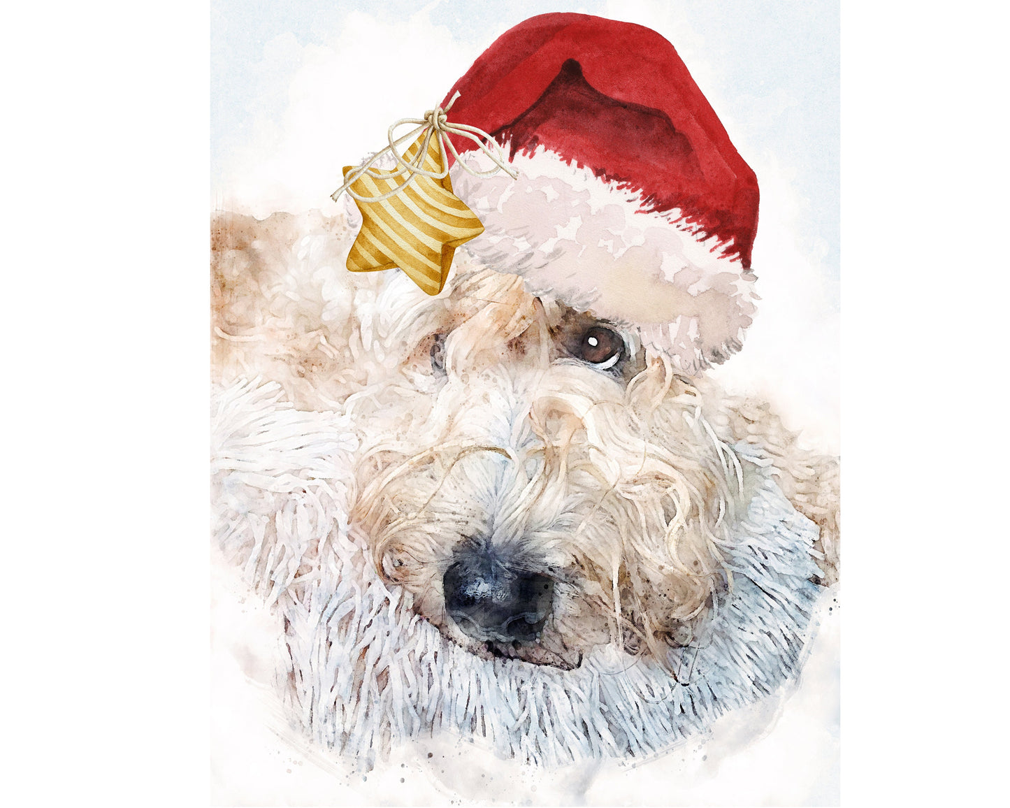 Christmas Star Card