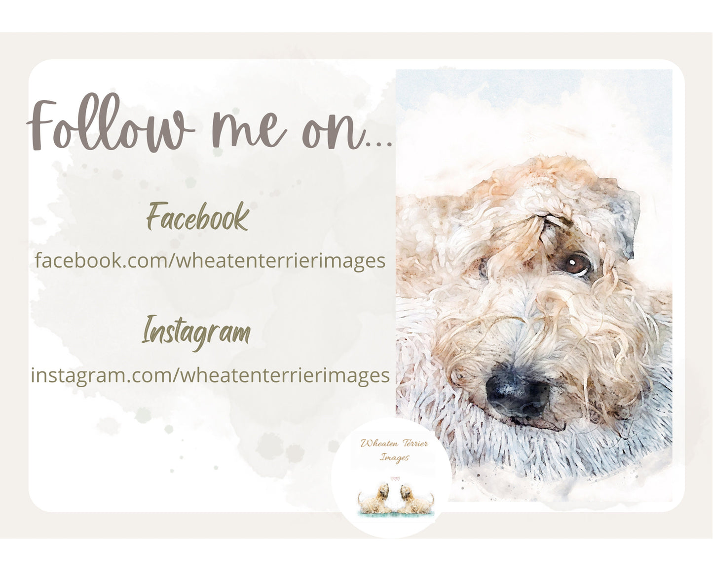 Wheaten Fields Card
