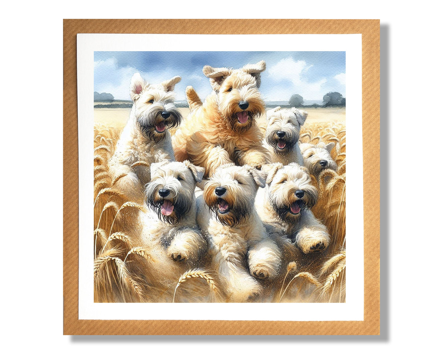 Wheaten Fields Card