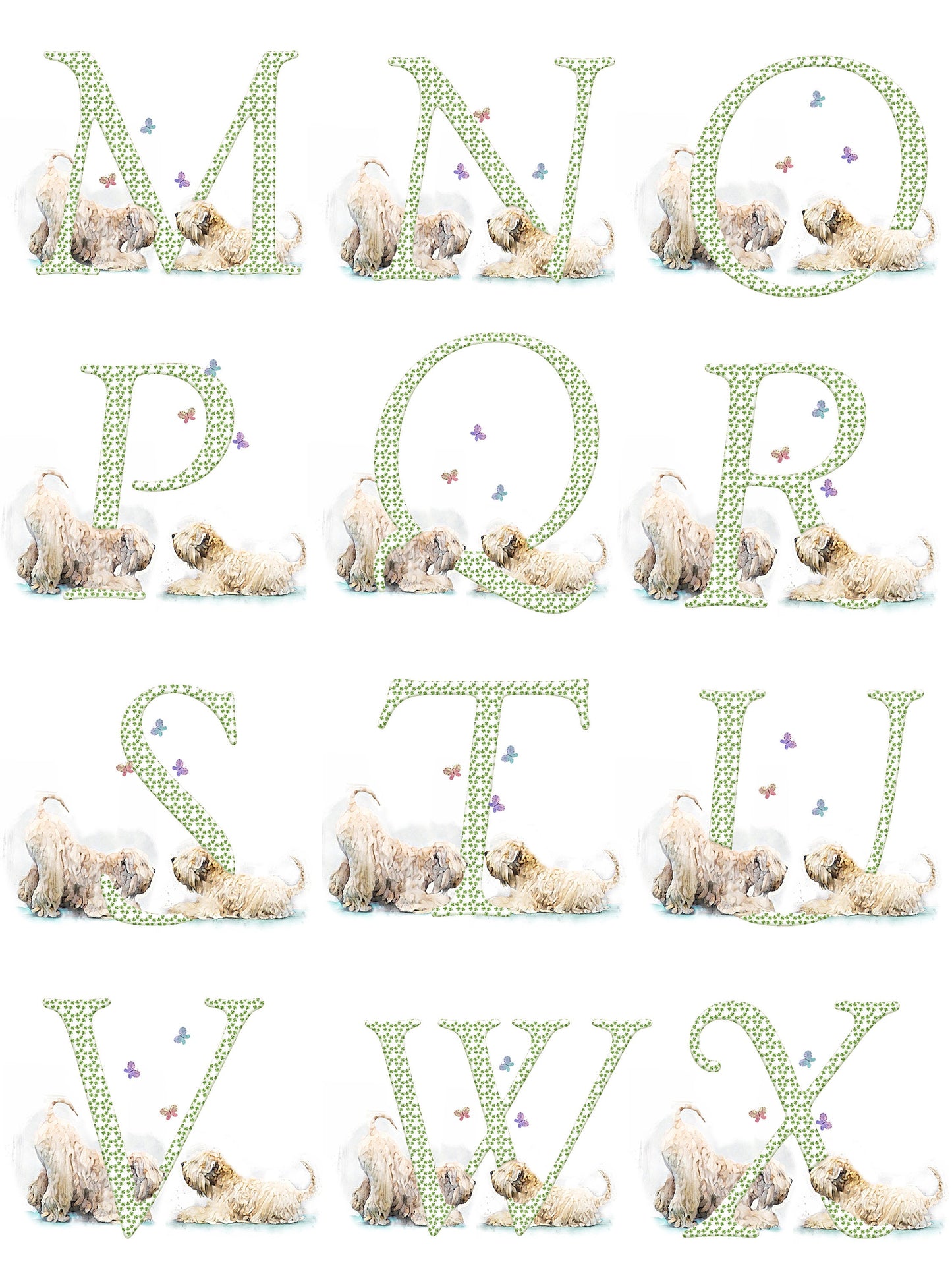 Soft Coated Wheaten Terrier Water Bottle