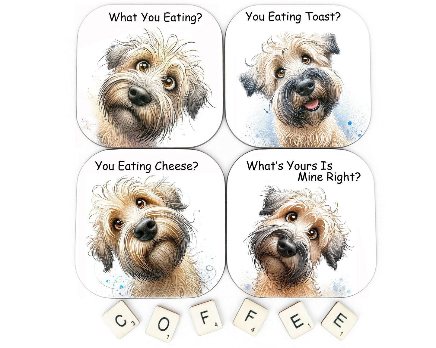 Soft Coated Wheaten Terrier You Eating Cheese Coaster