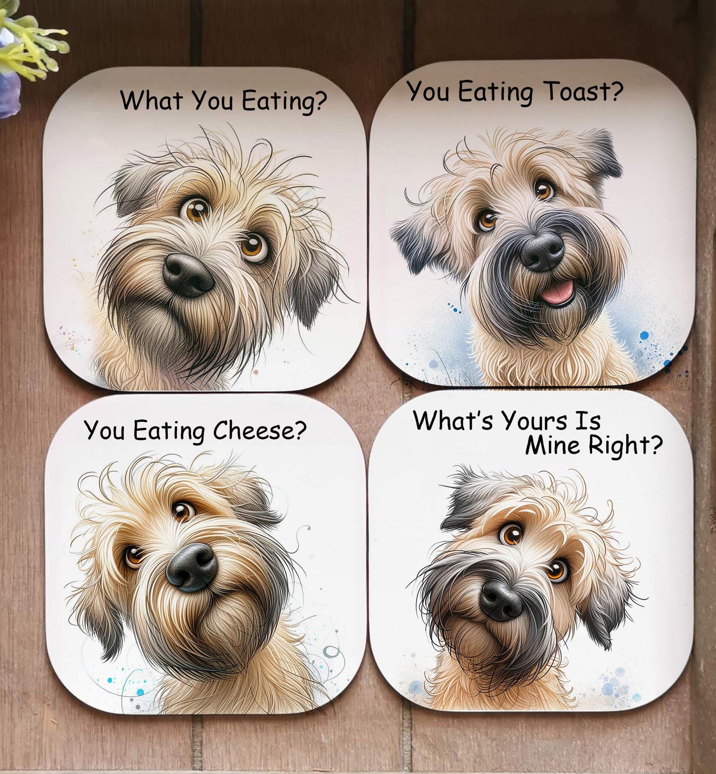 Soft Coated Wheaten Terrier You Eating Cheese Coaster