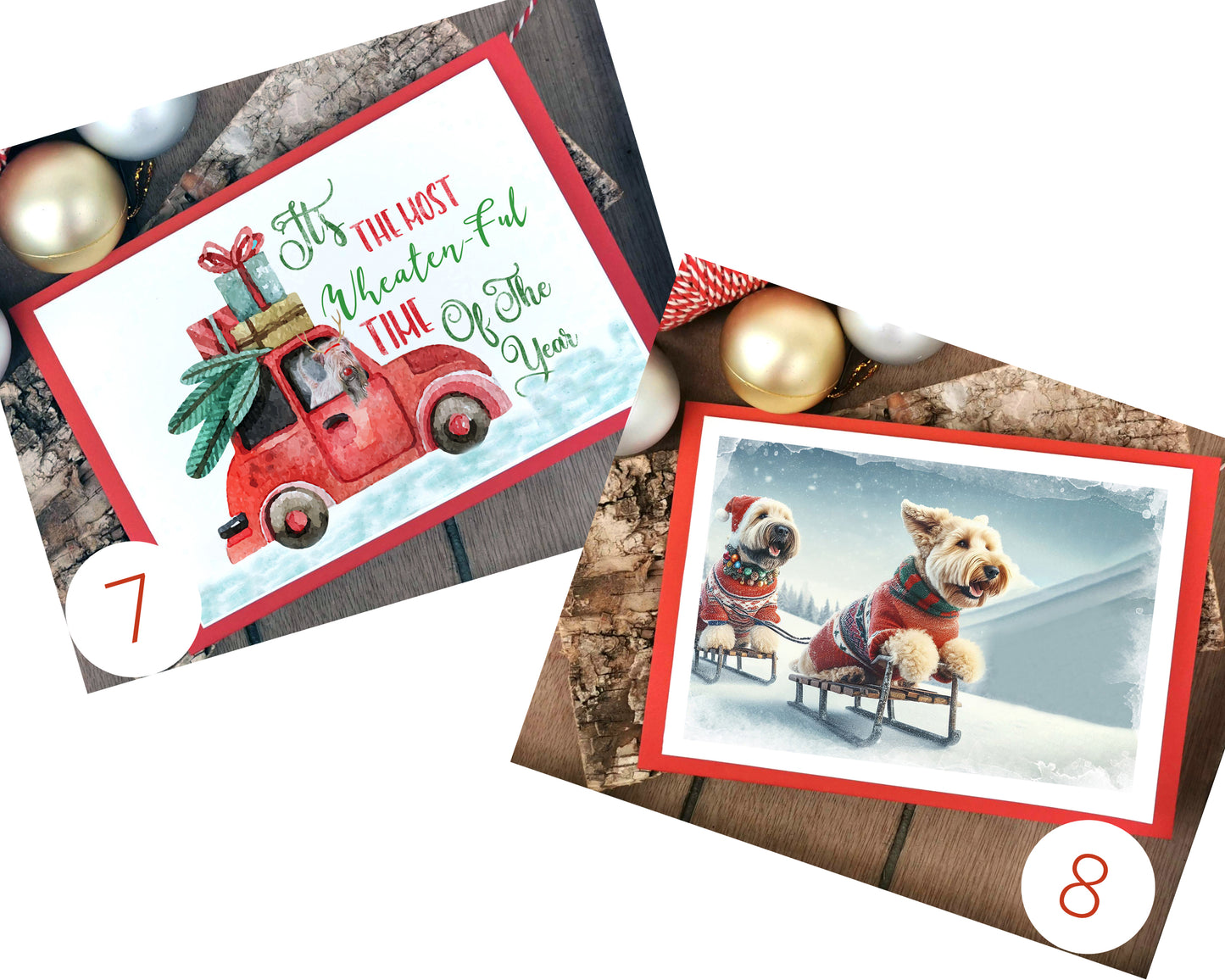 Wheaten Terrier Christmas Card Selection Pack of 10