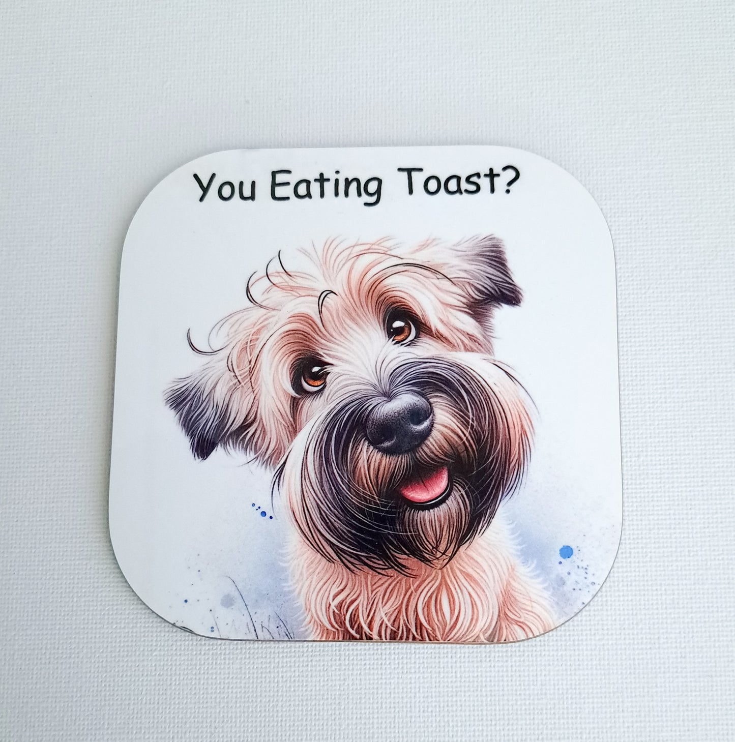 You Eating Toast Seconds Coaster