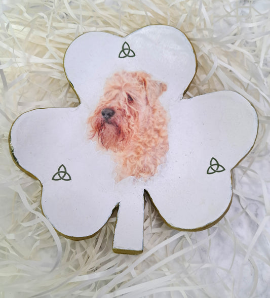 Wheaten Portrait Shamrock Trinket Dish