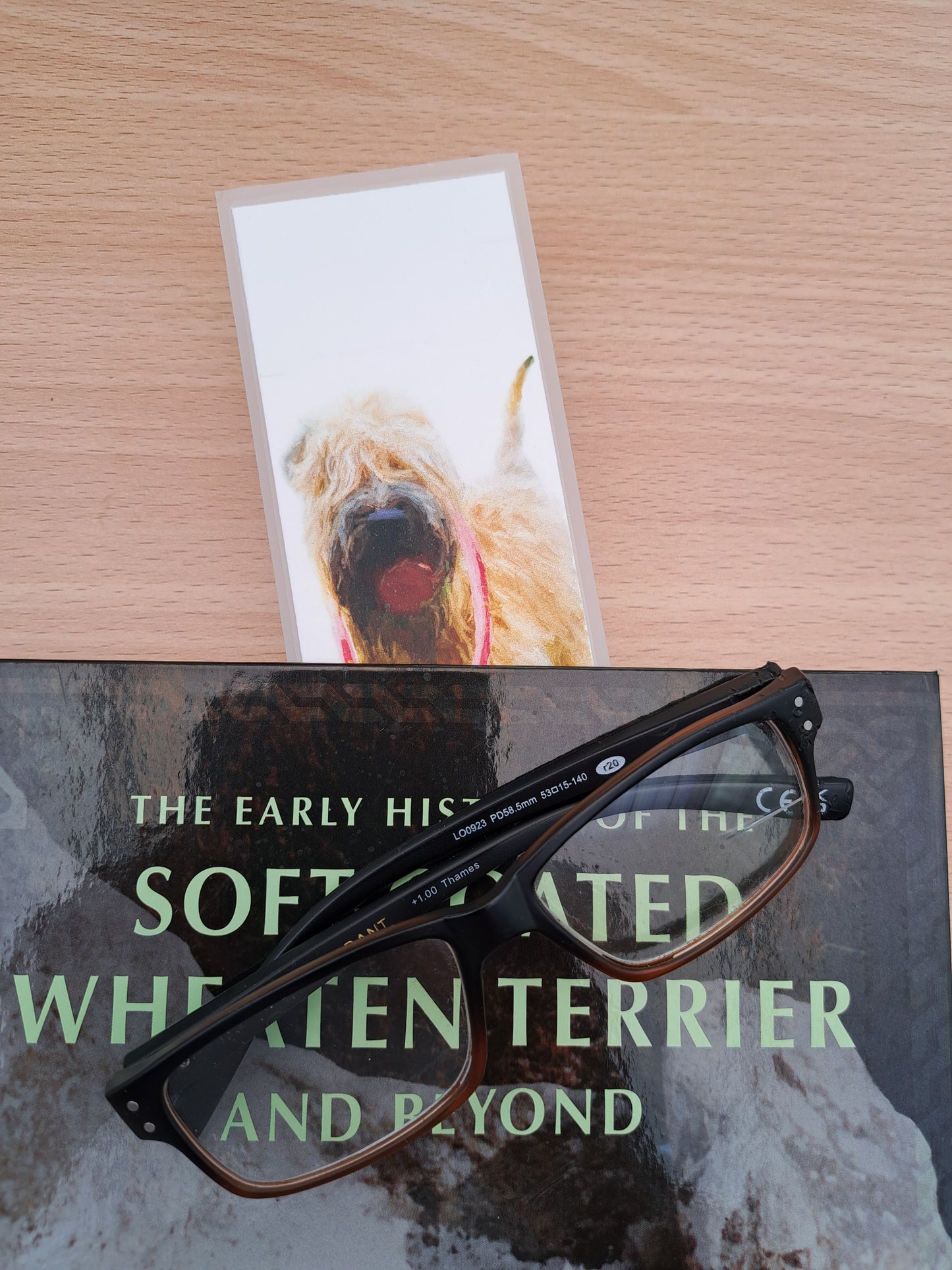 Walkies Bookmark