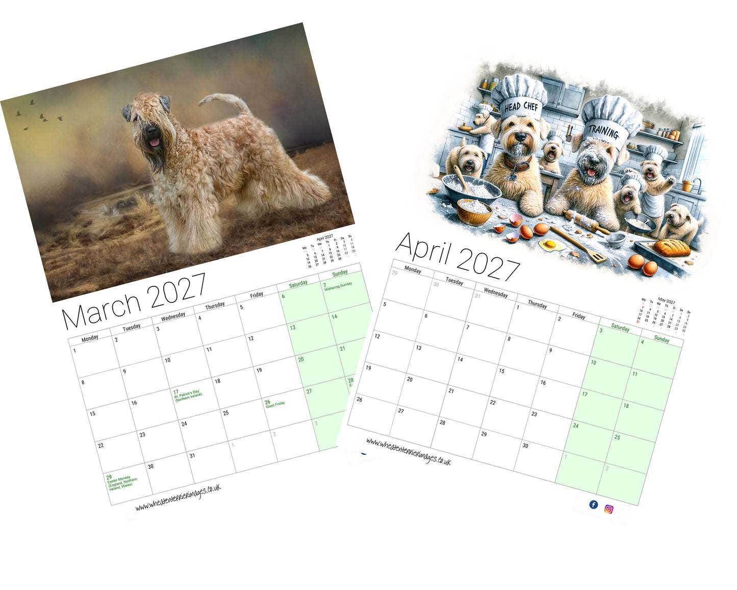 Soft Coated Wheaten Terrier Calendar 2027