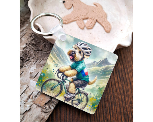 Cycling Keyring