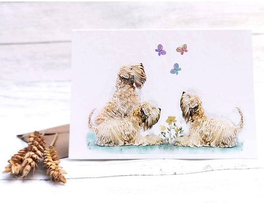 soft coated wheaten terrier wheatens & butterflies card