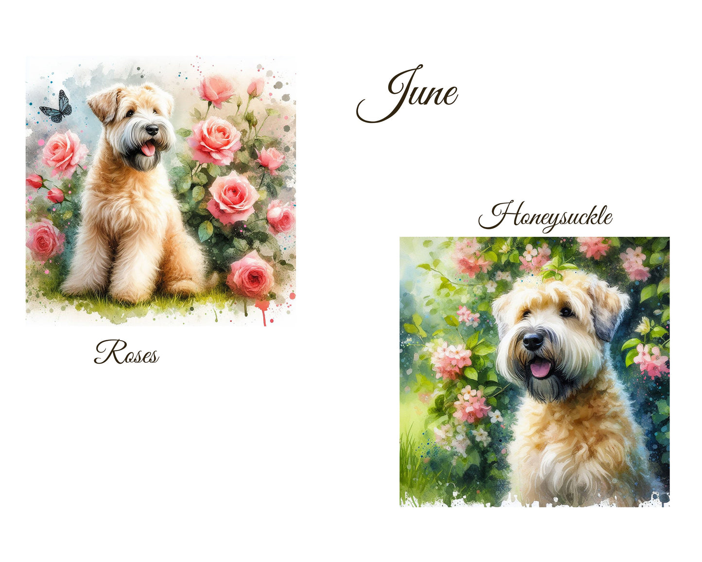 June Birth Flower Card