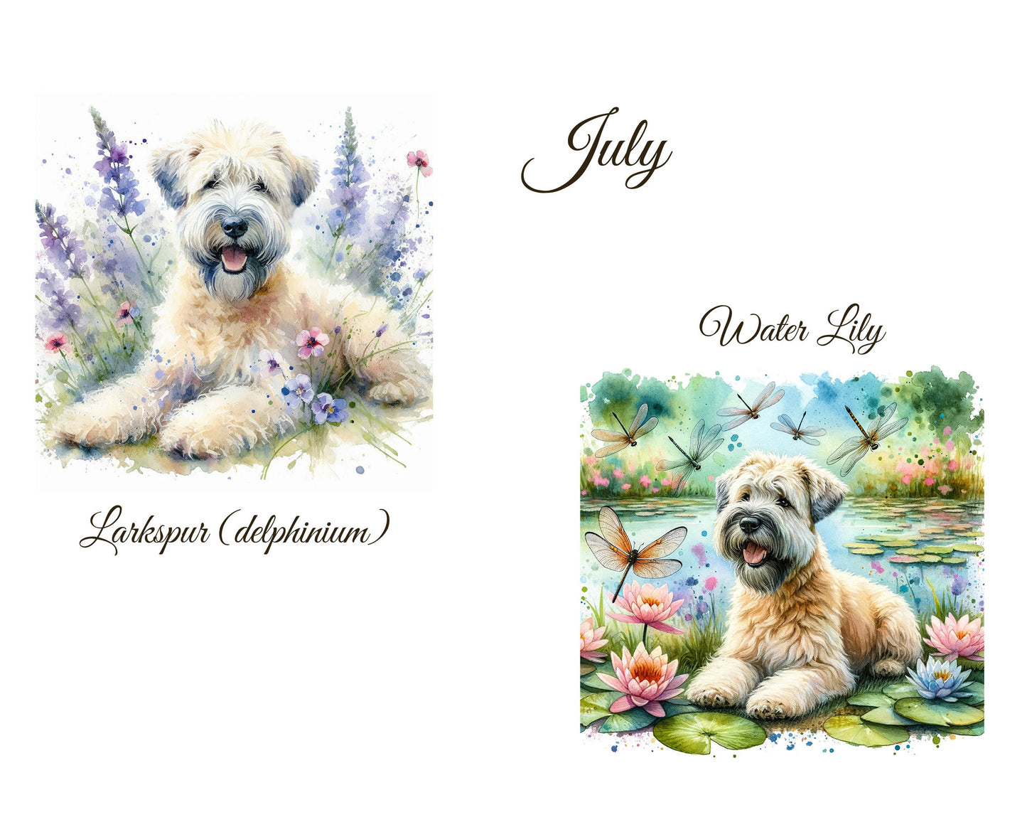 July Birth Flower Card